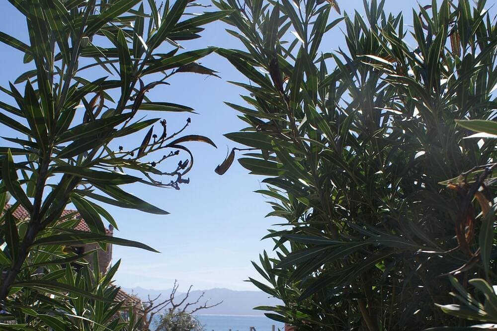 Foto 10 von 30: Facing the sea, 30 m from the beach, luxury villa, air-conditioned