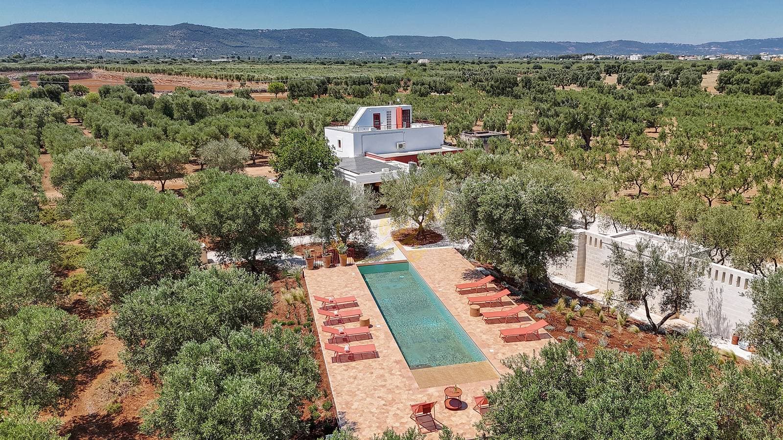 Td Lamia Porta Rossa, Countryside w/Olive Trees 1