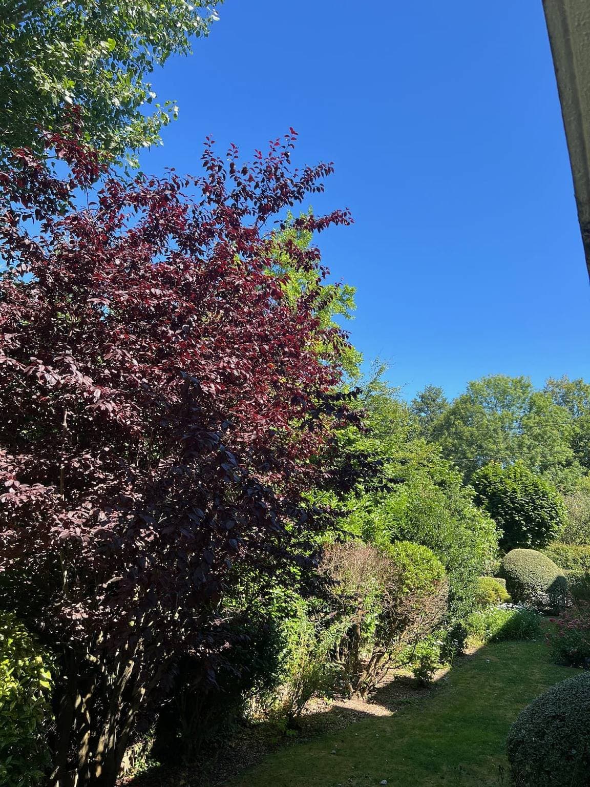 Foto 13 von 14: Ferienwohnung für 4 Personen mit Balkon