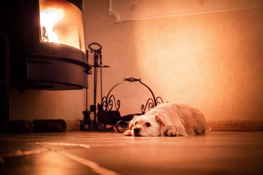 Foto 12 von 30: Traum Ferienhaus am Schweriner See ✓ Urlaub mit Hund & angeln am Privatstrand ✓