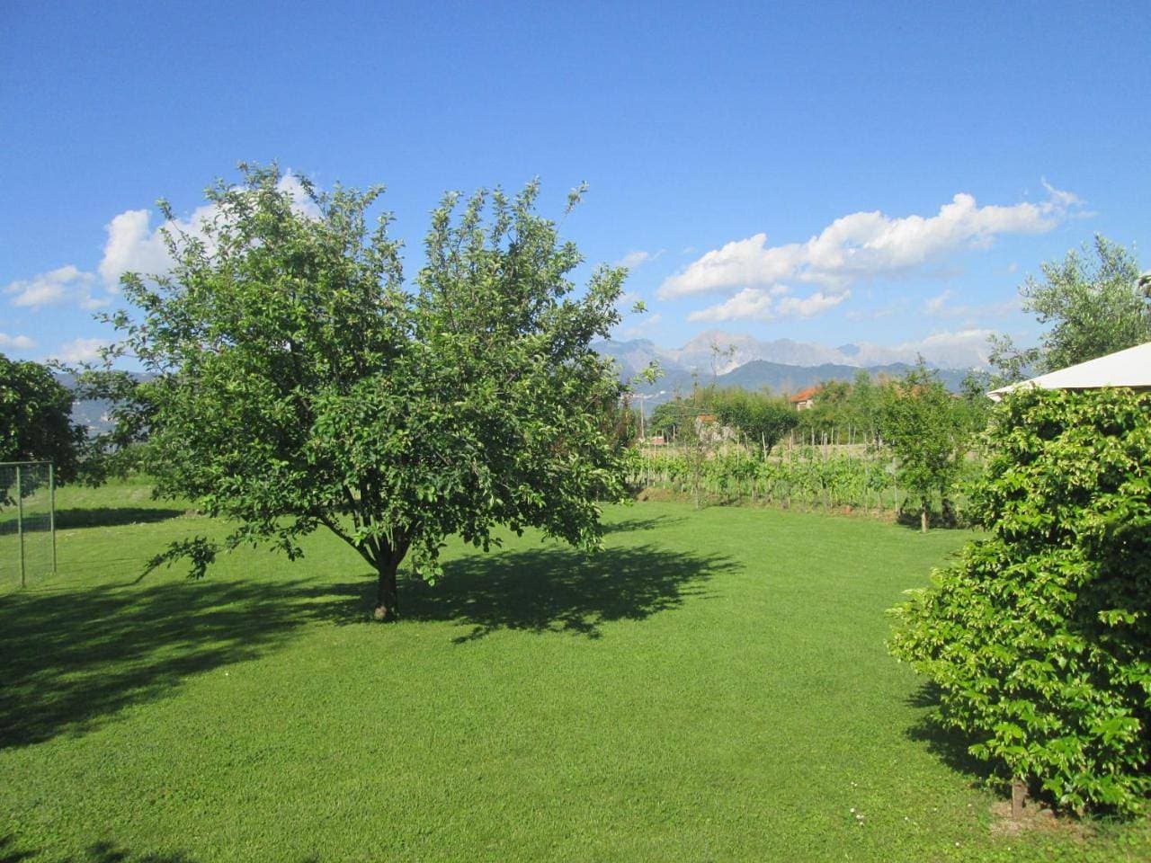 Foto 9 von 30: Holiday Home
