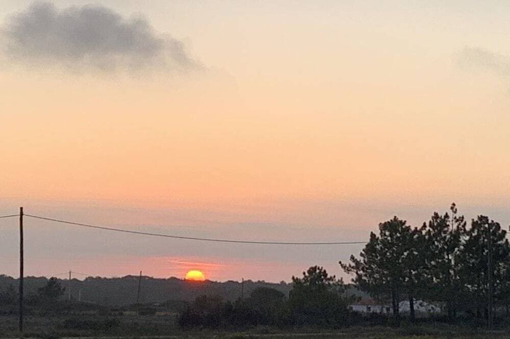 Foto 13 von 18: Auf dem Lande in der Nähe des Strandes