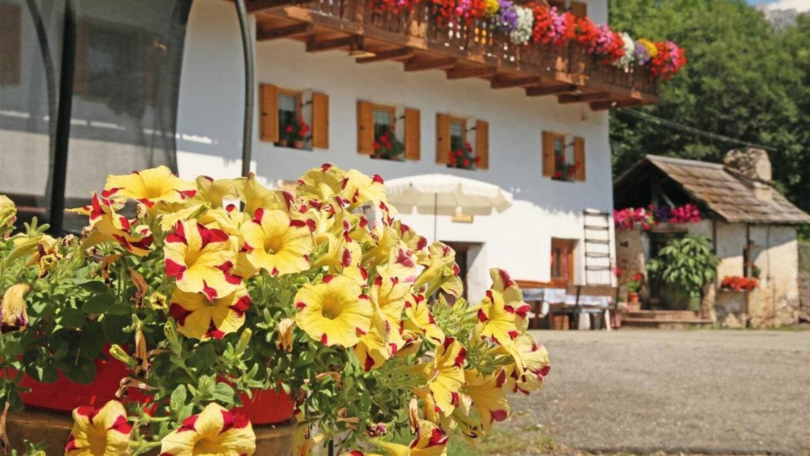 Foto 4 von 38: Zimmer 'Veltierhof 6' mit Bergblick, privater Terrasse und Wi-Fi