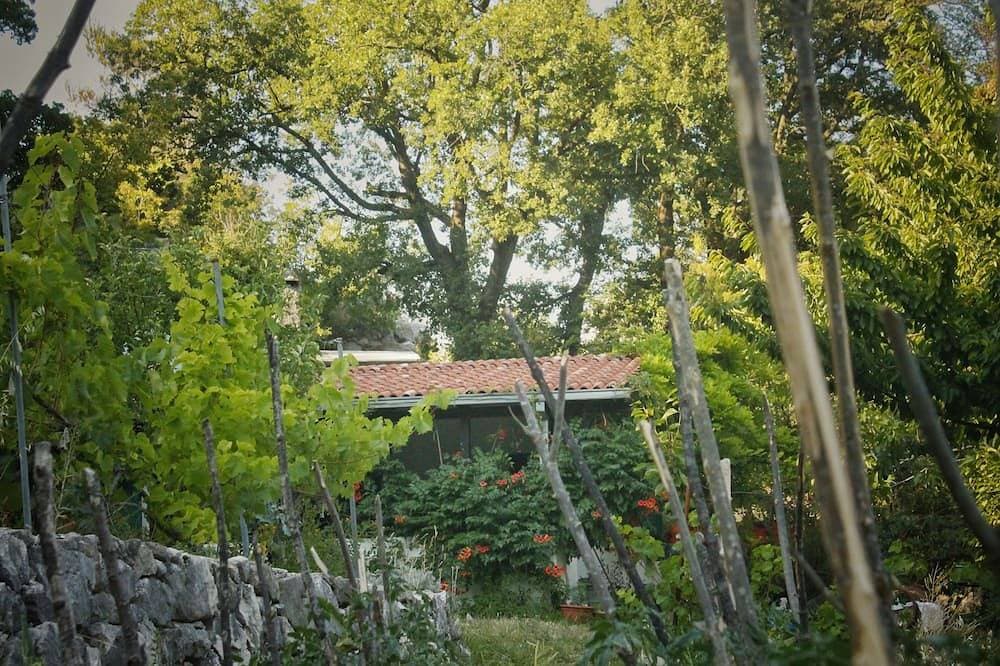 Foto 5 von 21: Green dream in Cetina canyon
