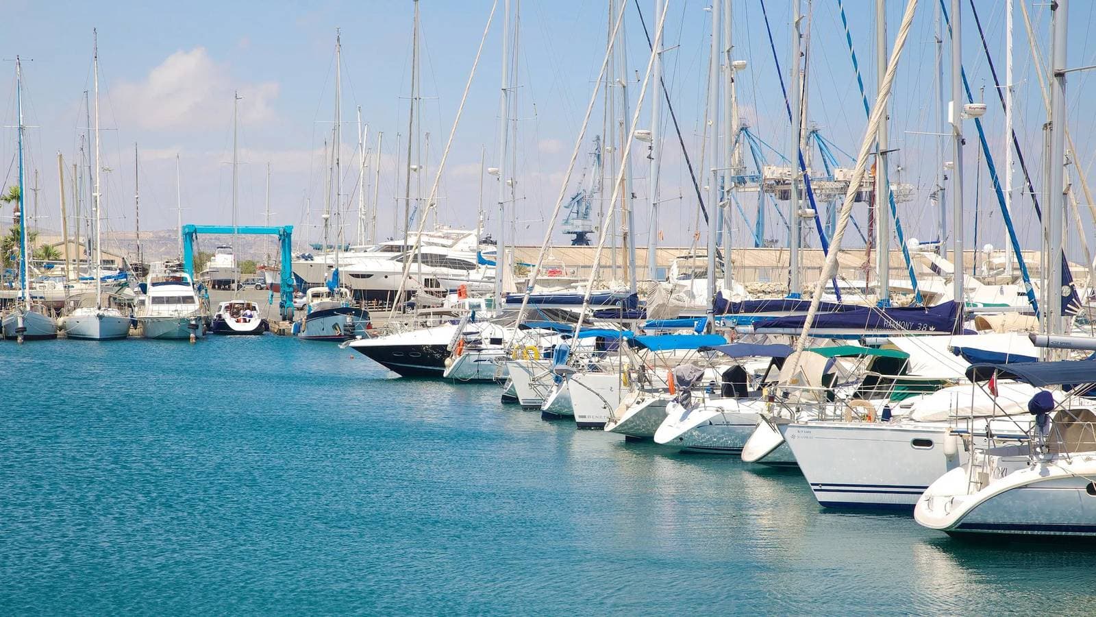 Foto 13 von 13: Finikoudes Marina View 202