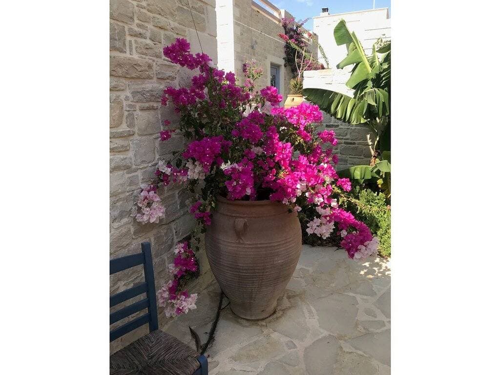 Foto 9 von 35: Villa in Kamilari mit Schwimmbecken