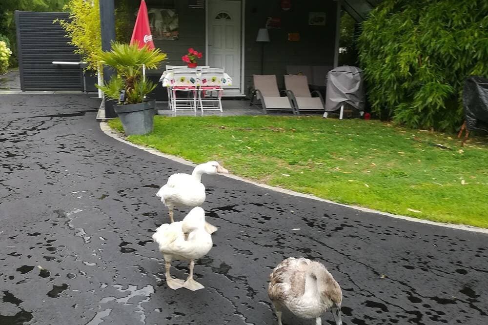 Einfamilienhaus im amerikanischen Kapellenstil 1