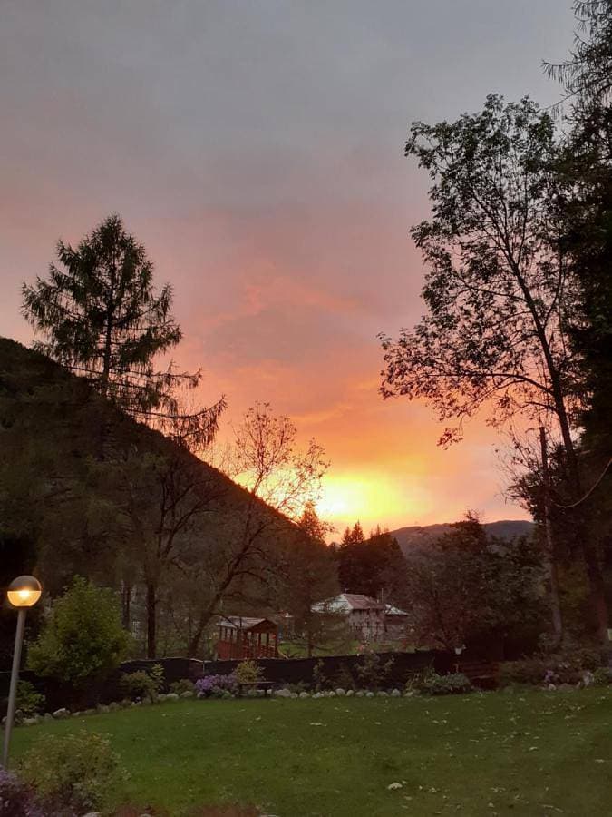 Soggiorno Vacanze Stella Alpina 1