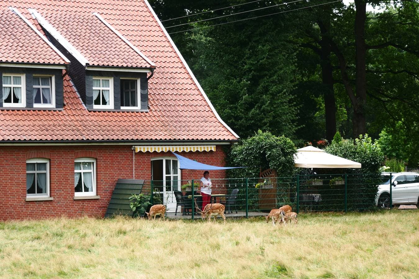 Foto 9 von 16: Ferienhaus "Zur Alten Fähre"