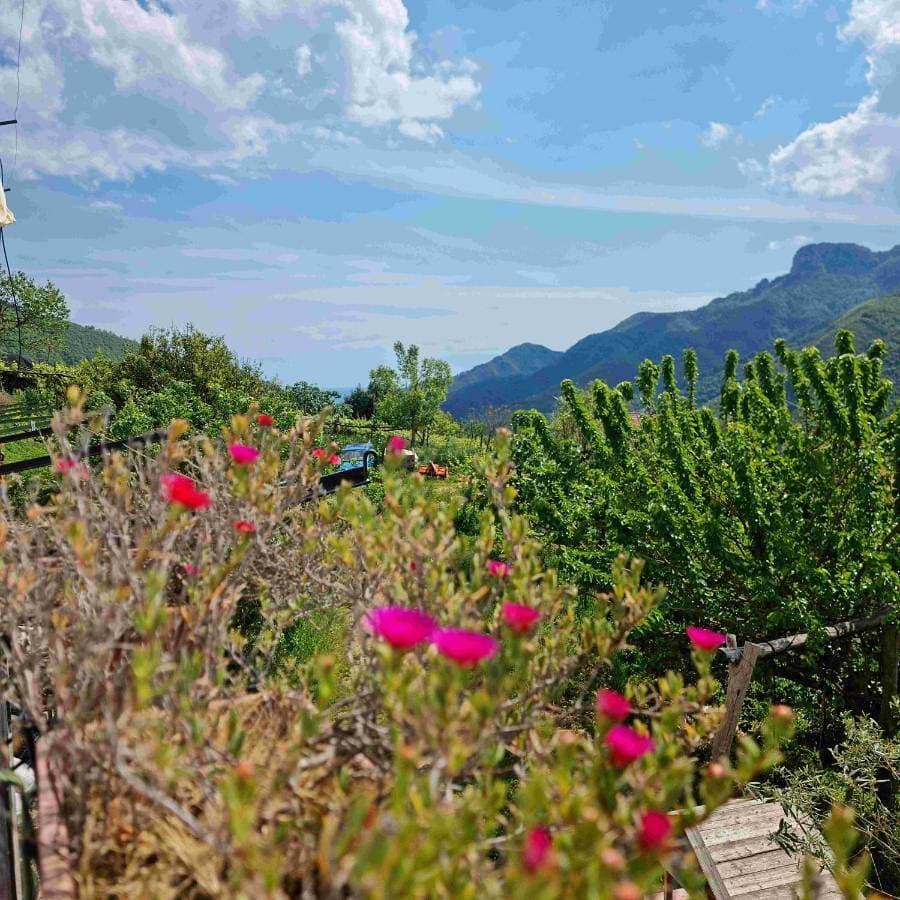 Foto 2 von 33: Holiday Home