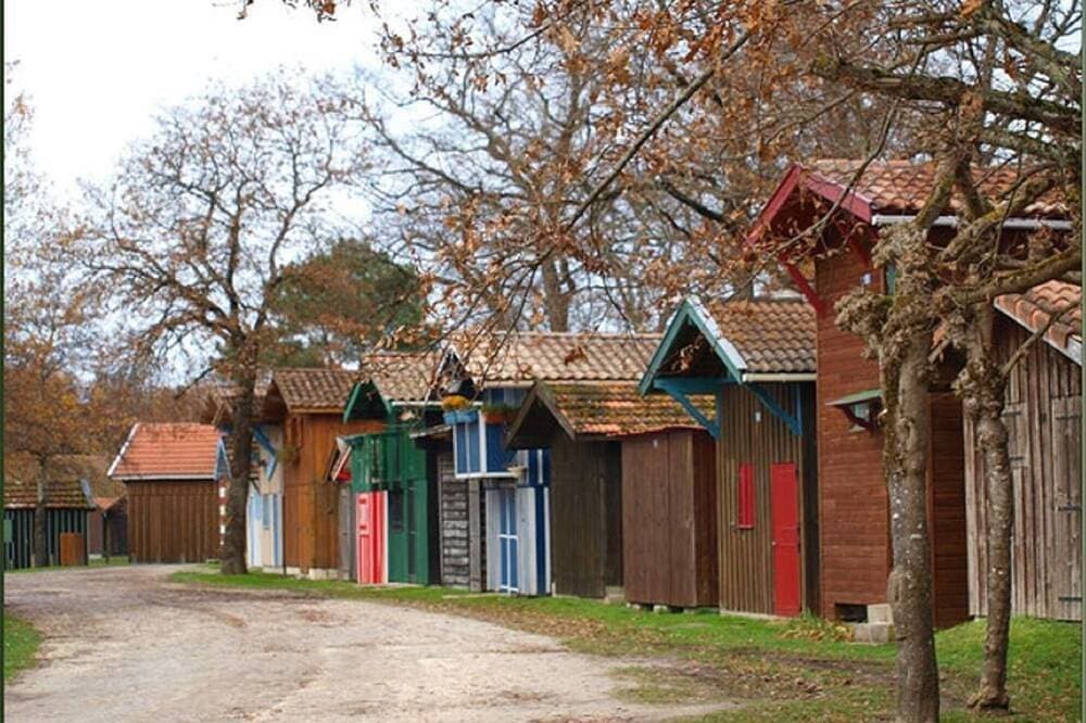 Foto 10 von 21: Bucht von Arcachon \"La Douiria\" ruhiges Studio.