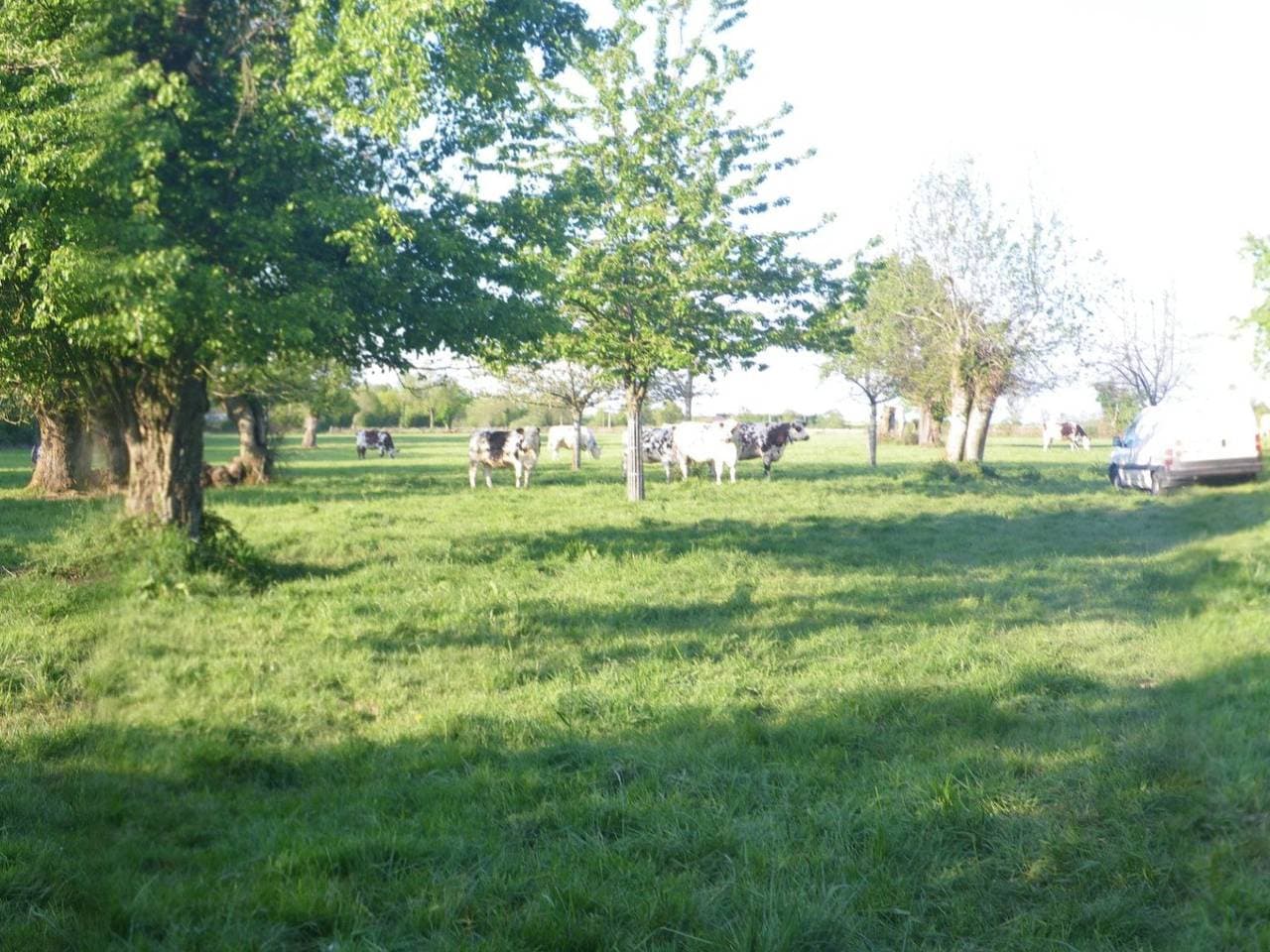 Foto 2 von 15: "La Petite Cauvinière"