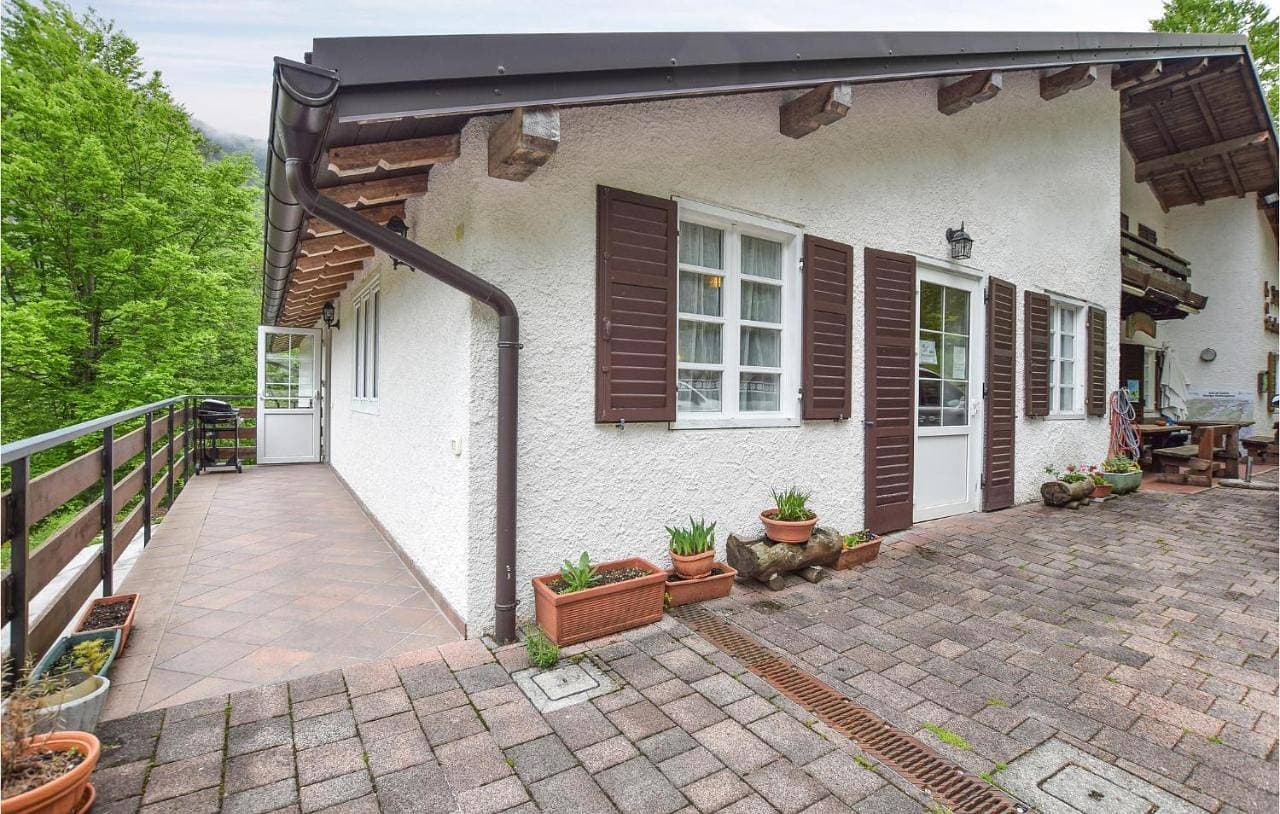 Pet Friendly Apartment 1