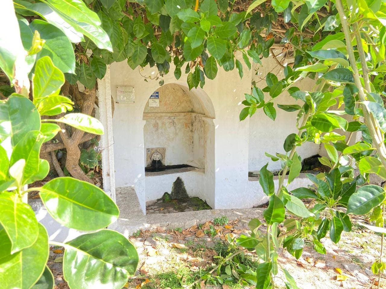 Foto 13 von 33: Holiday Home