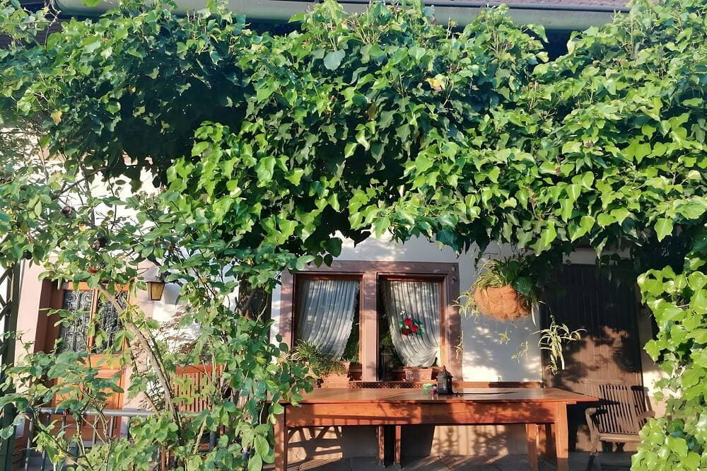 Foto 9 von 16: Doppelzimmer mit großer Küche - Laulisgraben Hideaway Tm