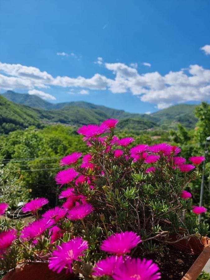 CASA VACANZE - Anna Holiday Home 1