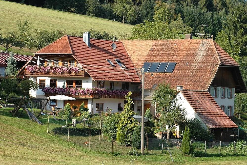 Ferienwohnung im Schwarzwald mit großem Balkon 1