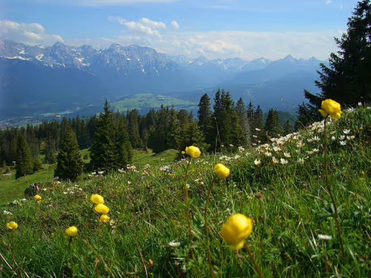 Foto 11 von 13: Gästehaus Christophorus - Ferienwohnung "Alpenglühn" mit Bergblick, Gemeinschaftsgarten und WLAN