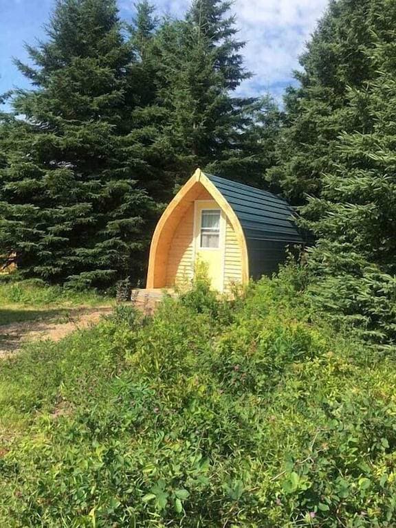 Blue Spruce Camping Pod at The Spruces 1