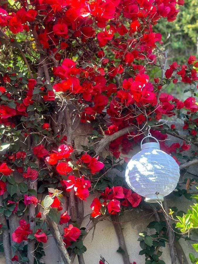 Foto 5 von 65: Holiday Home