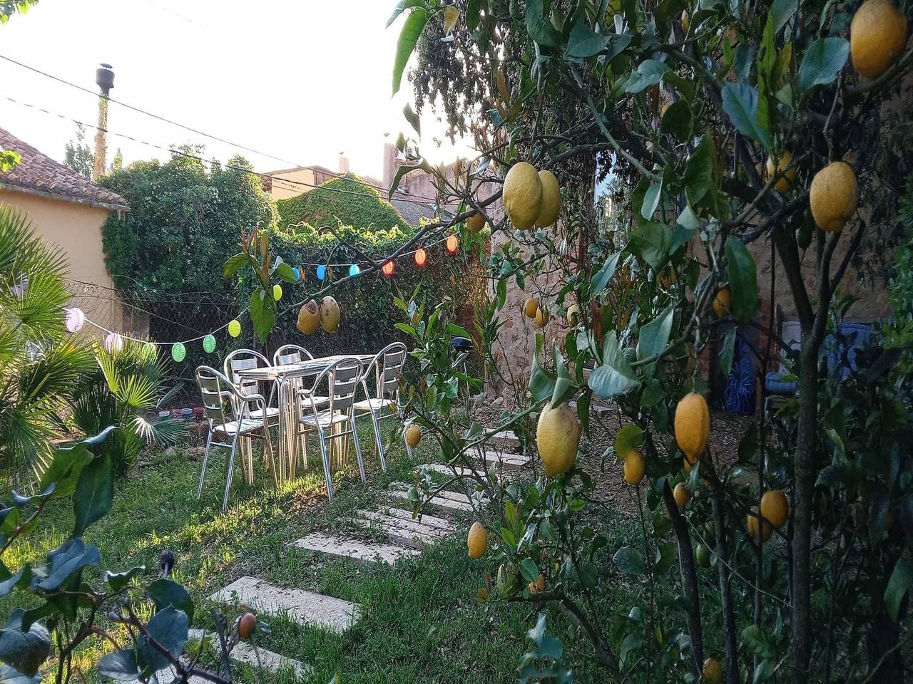 Foto 6 von 39: Ferienhaus für 4 Personen mit Terrasse