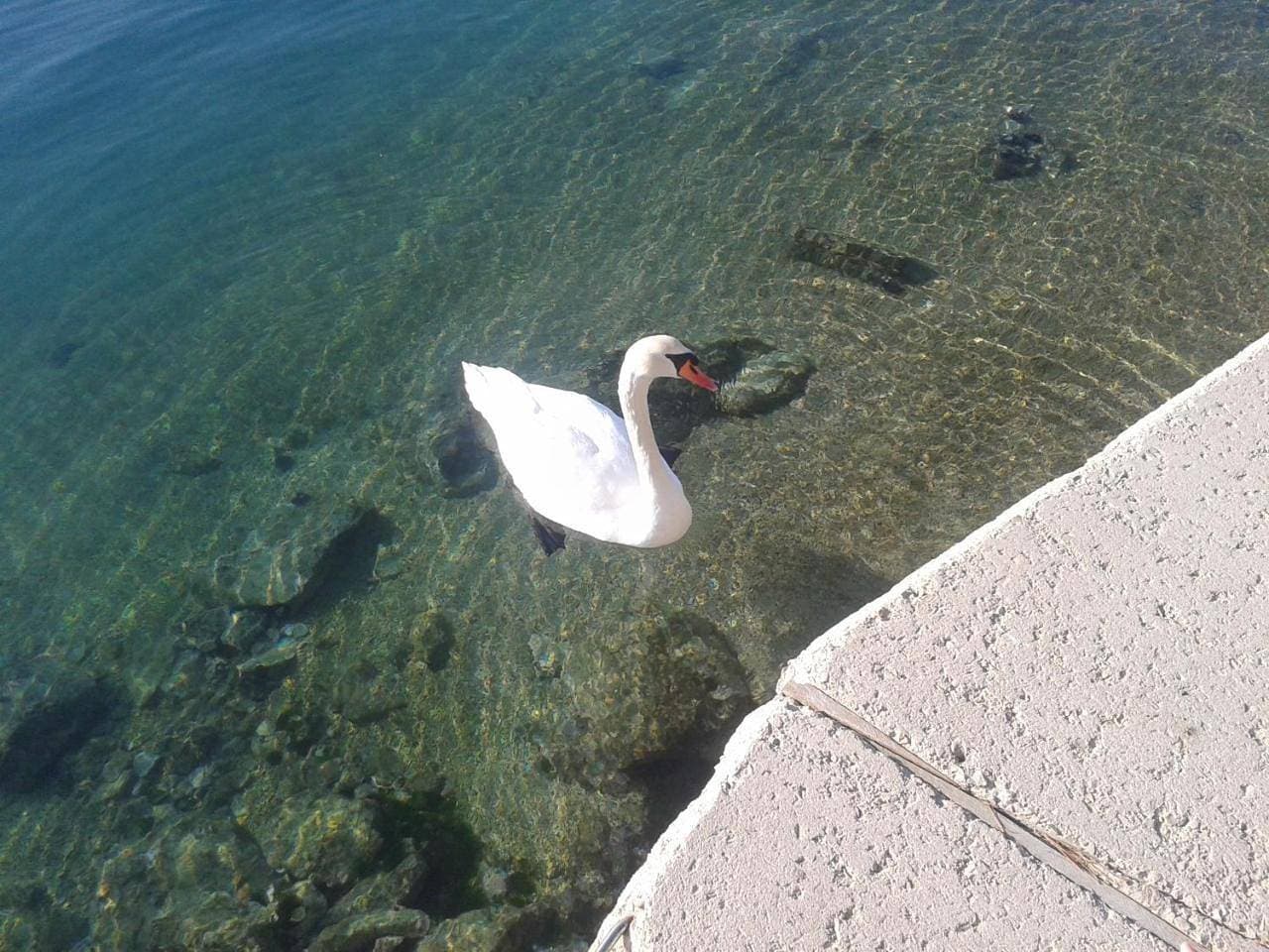 Foto 7 von 36: Holiday Home