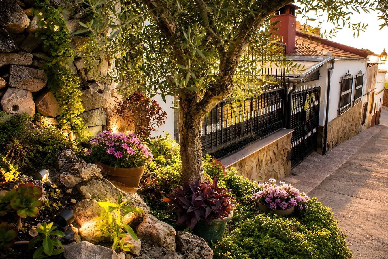 Villa Eusebia 1