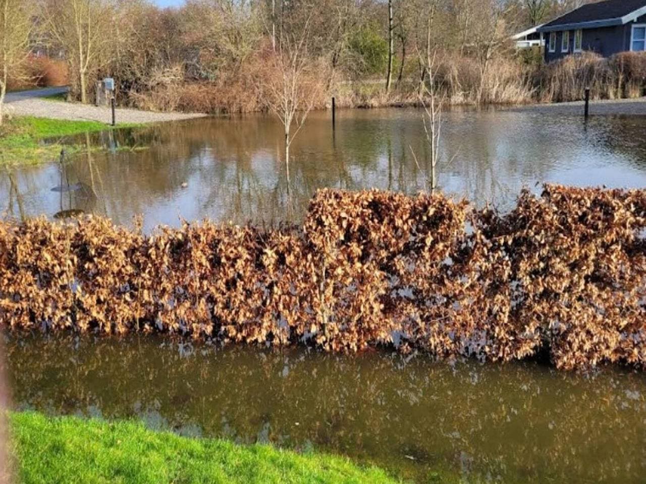 Foto 2 von 36: Kustenzauber in Ristinge