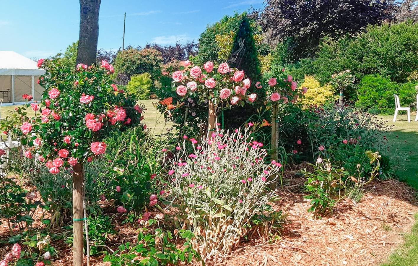Foto 13 von 29: Gartenhäuschen mit WiFi, TV, Parkplatz