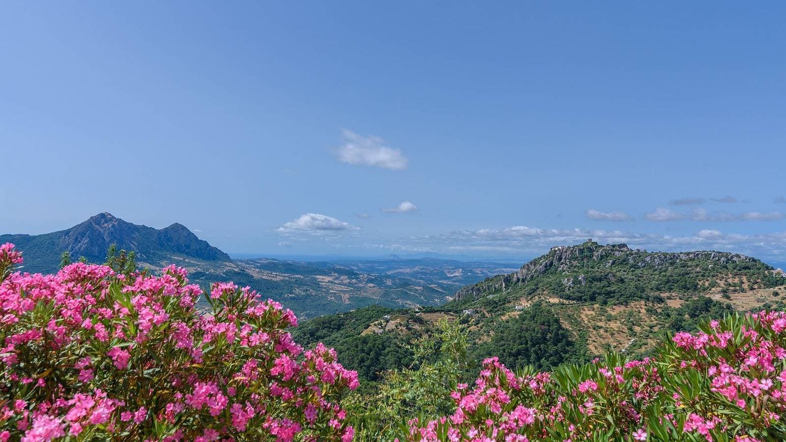 Foto 5 von 34: Villa Aurora de Gaucín Gaucín by Ruralidays