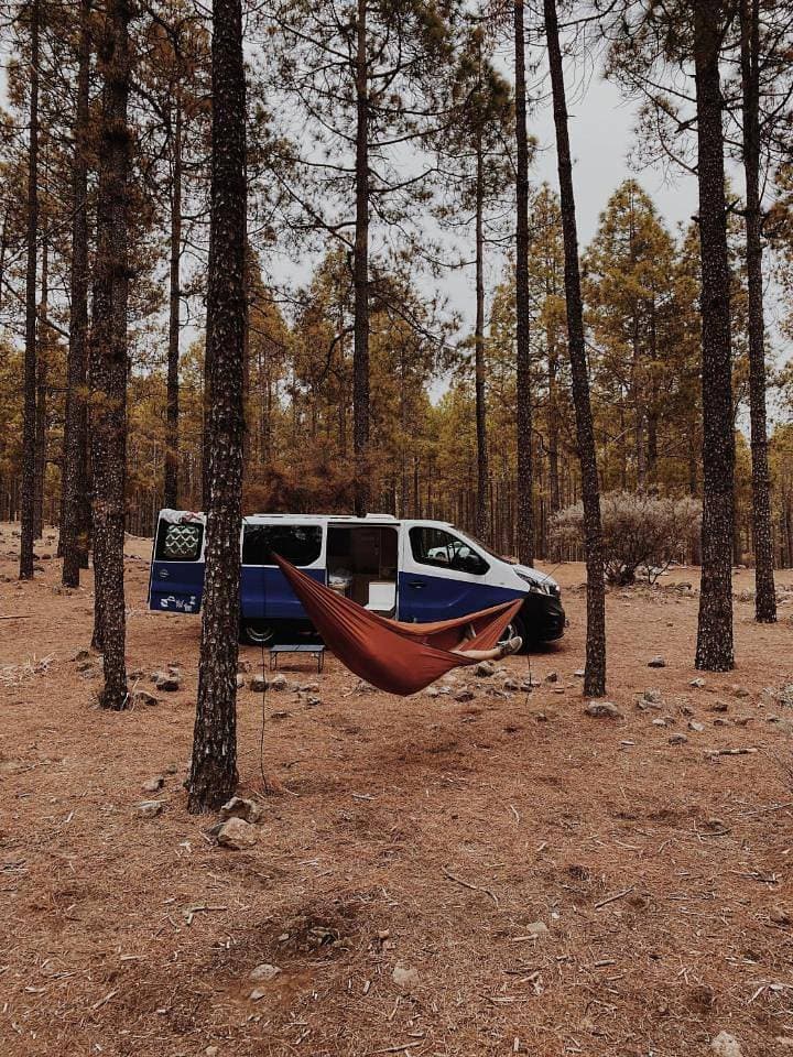 Foto 13 von 14: Caravan