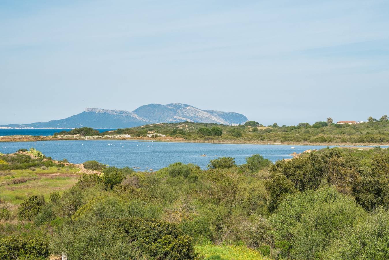 Foto 9 von 20: Myrsine 54 - Wohnung mit Blick auf Marina Maria und Tavolara