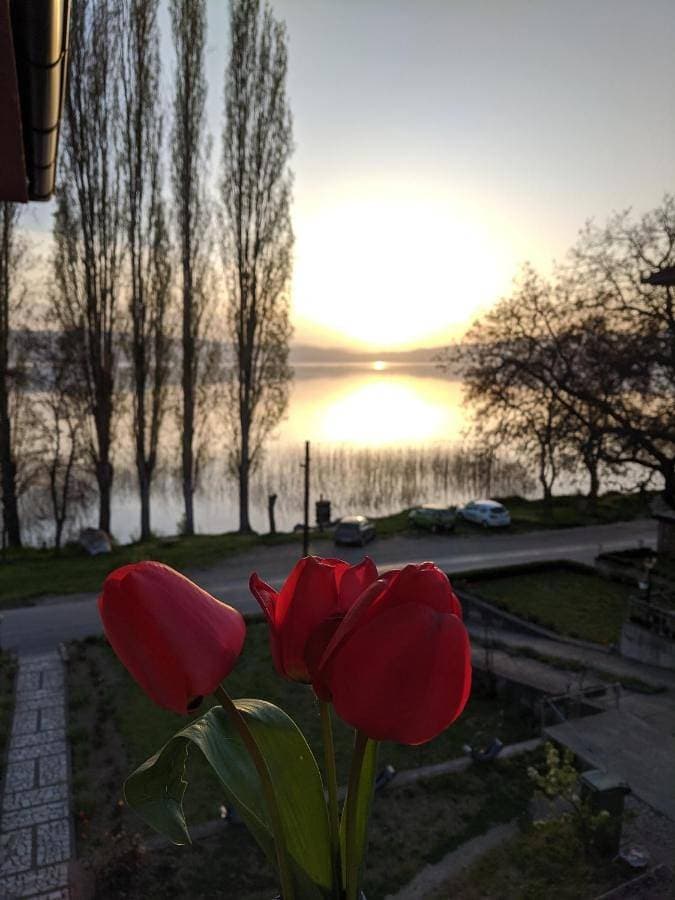 Foto 4 von 24: Quadruple Room with Lake View