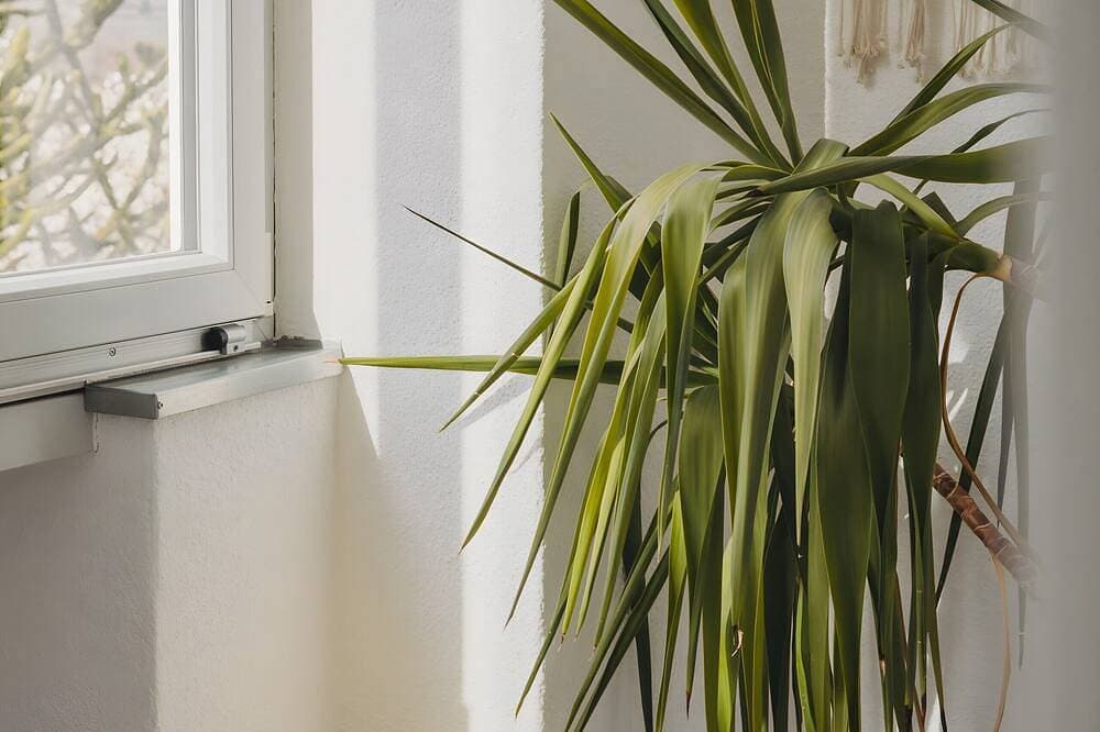 Foto 13 von 21: Zimmer „Garni Unterweggütl Karibik“ mit Bergblick, Gemeinschaftspool und WLAN