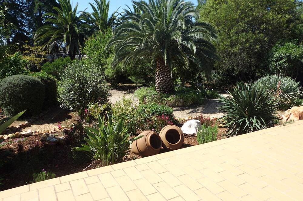 Foto 11 von 23: Villa mit eigenem Pool, Klimaanlage, herrlichem Garten und Blick auf die Landschaft