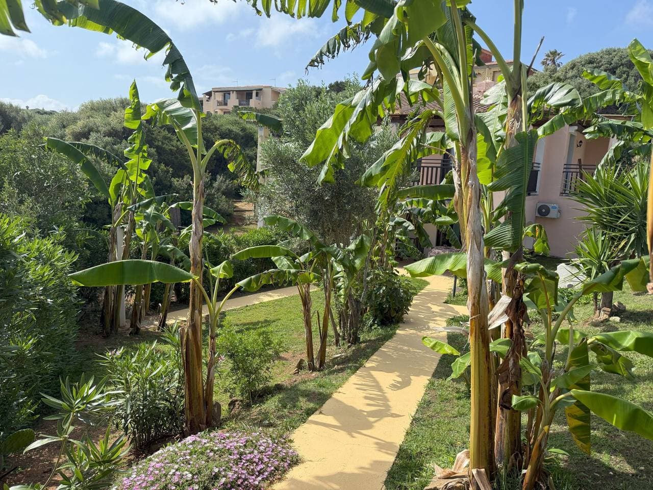 Villa in Banani 1