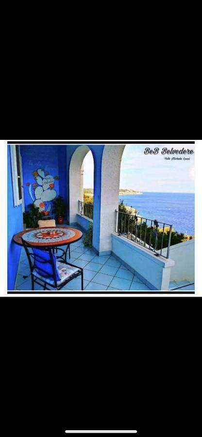 Belvedere 1