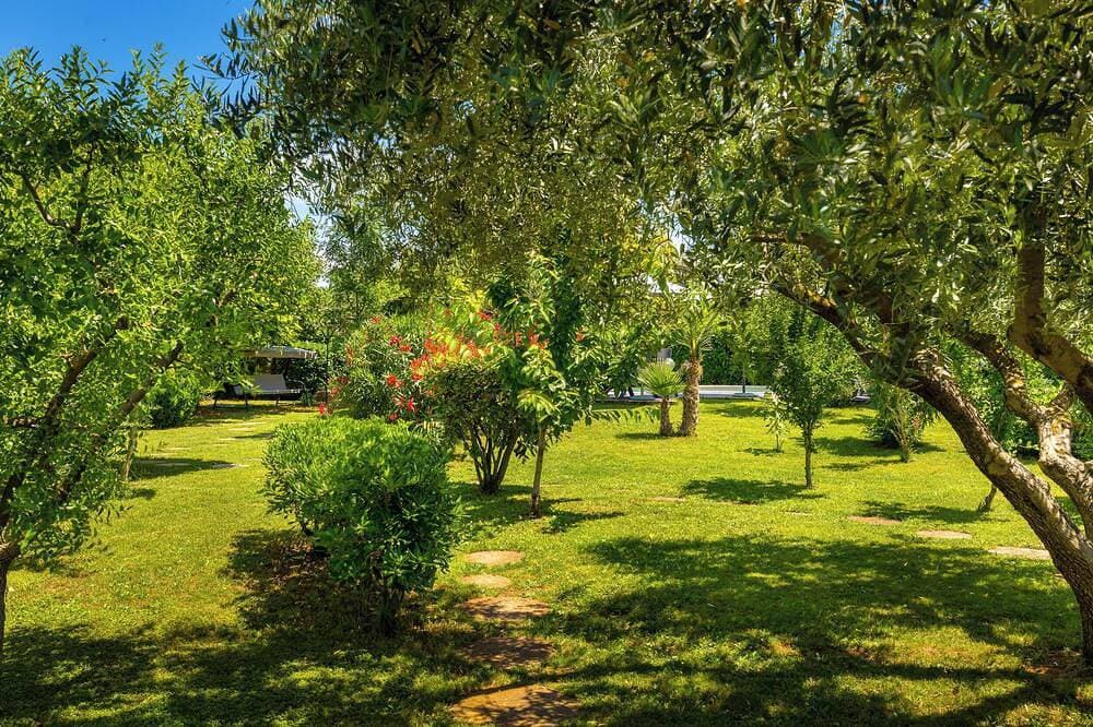 Foto 13 von 30: Traditionelles istrianisches Haus in Pula mit Pool ideal für eine Familie