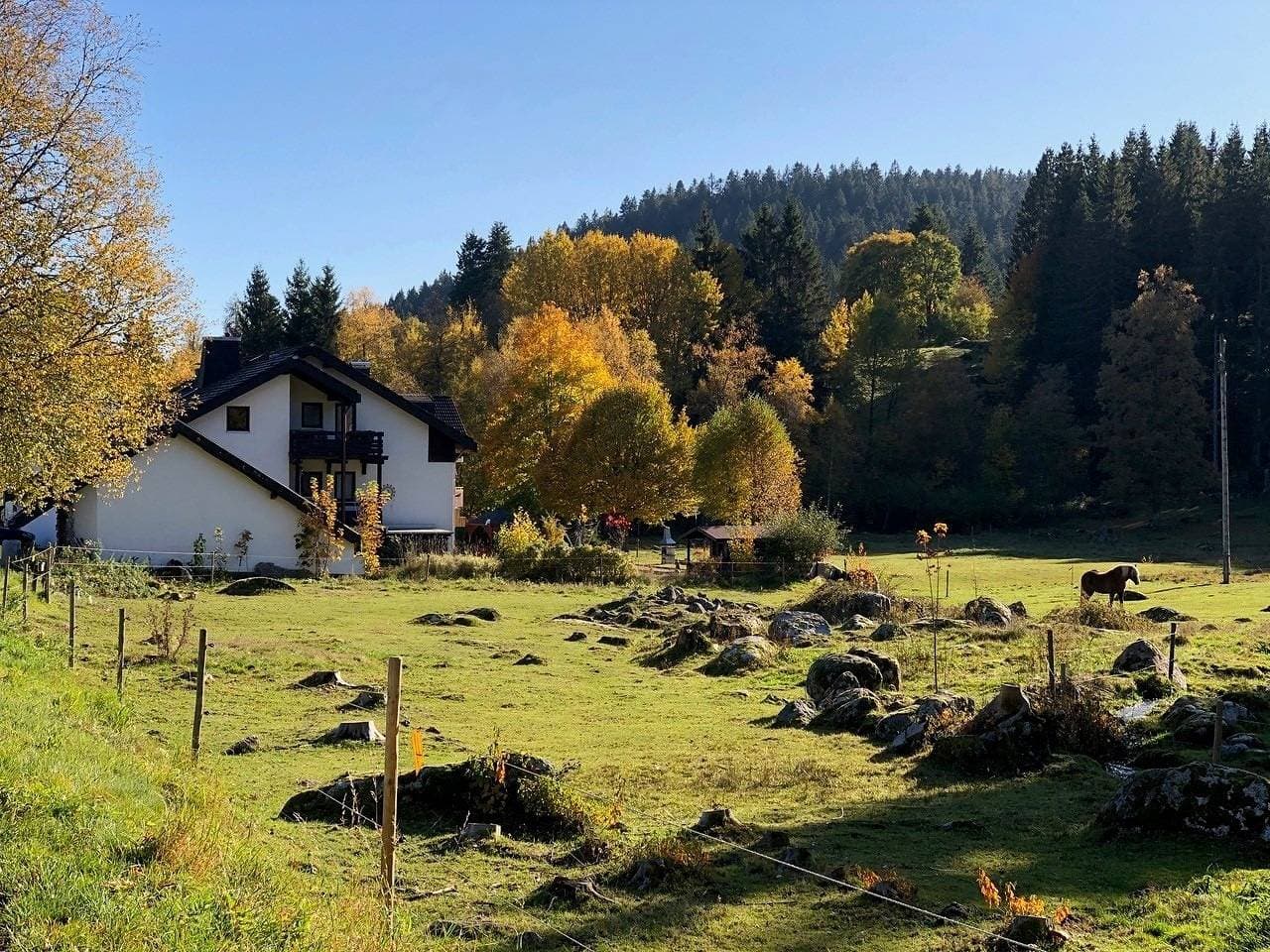 Foto 13 von 29: Gästehaus Seewald- Ferienwohnung 7 "Eiche", Schluchsee, Blasiwald