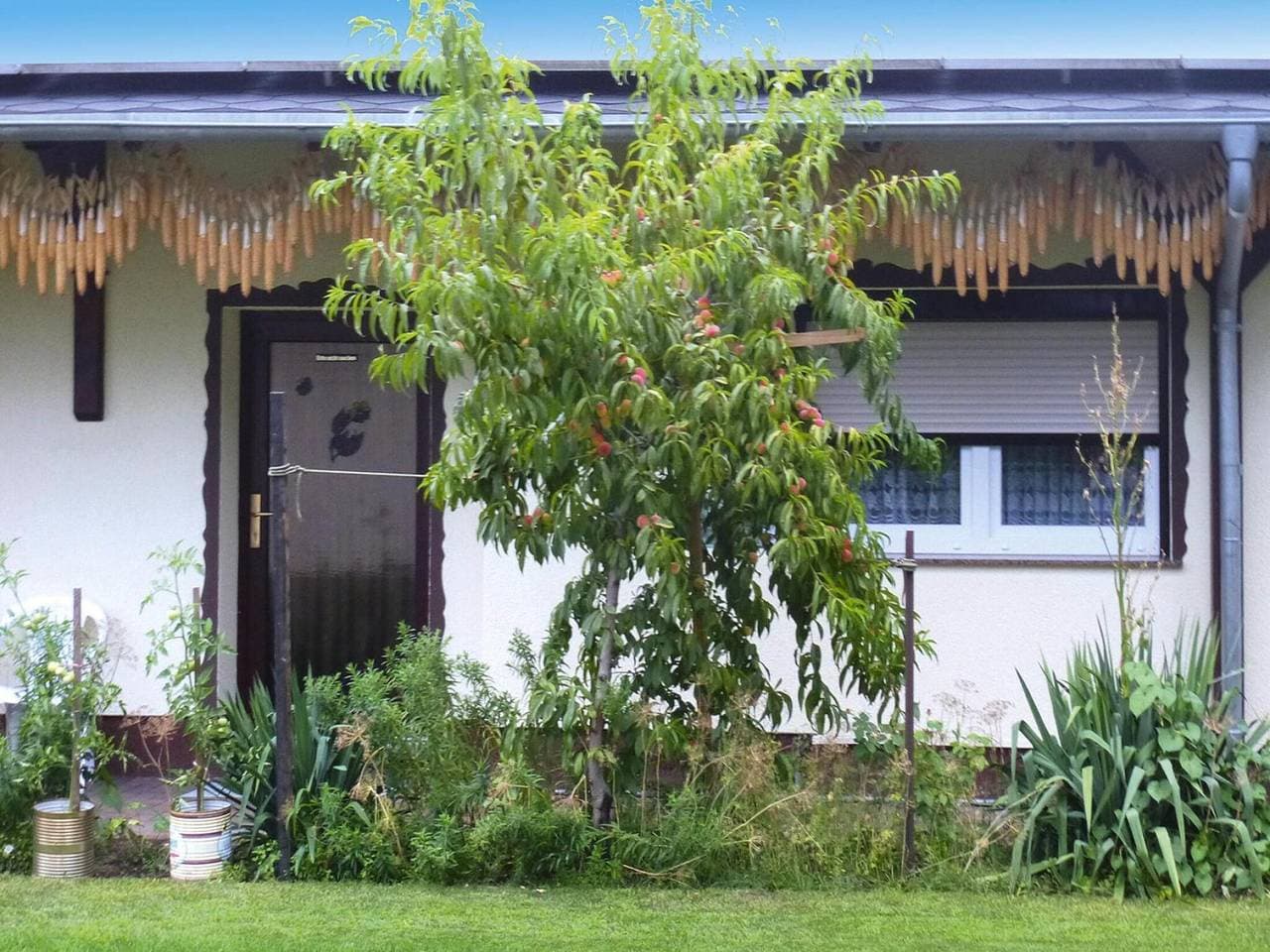 Bungalow in Lübben mit einer Terrasse 1