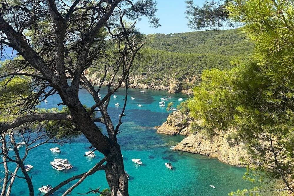 Foto 8 von 12: A Stop in the Var: Vineyards & Ocean Views in Le Castellet