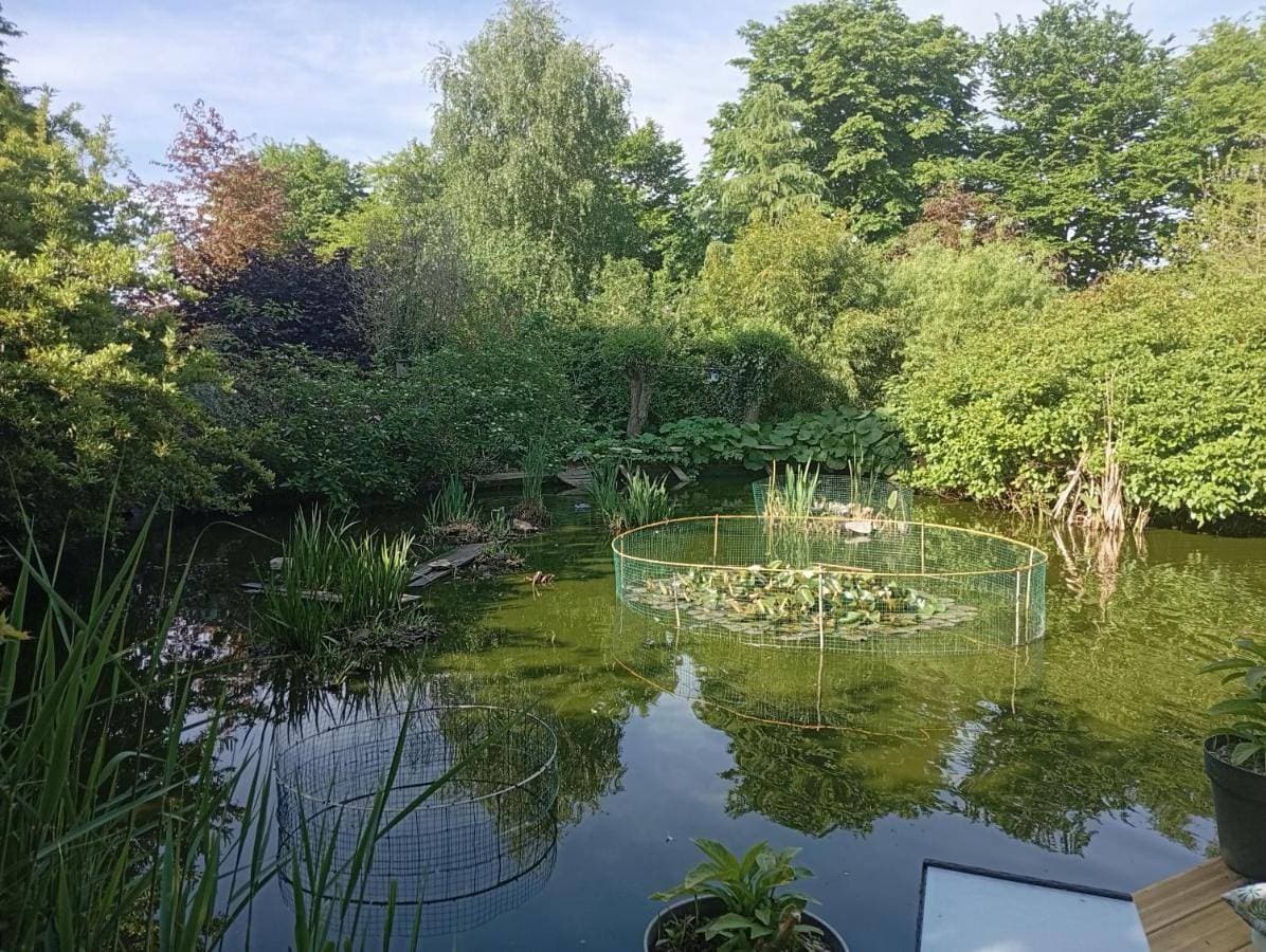 Foto 2 von 16: Double Room with Garden View