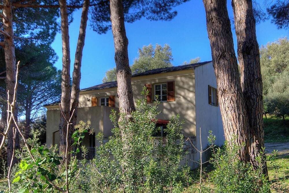 Foto 7 von 14: U Pinu - Patrimonio - Gîte
