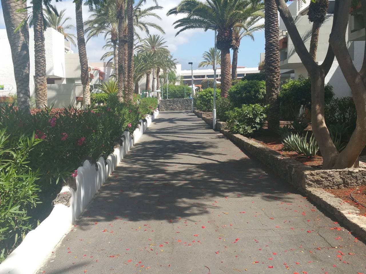 Foto 4 von 44: "Primavera