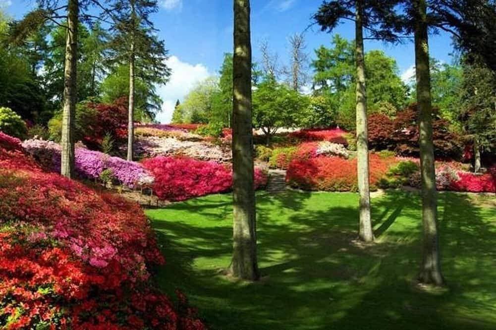 Foto 8 von 19: Das Haus Der Alten Schule, Ascot, Berkshire
