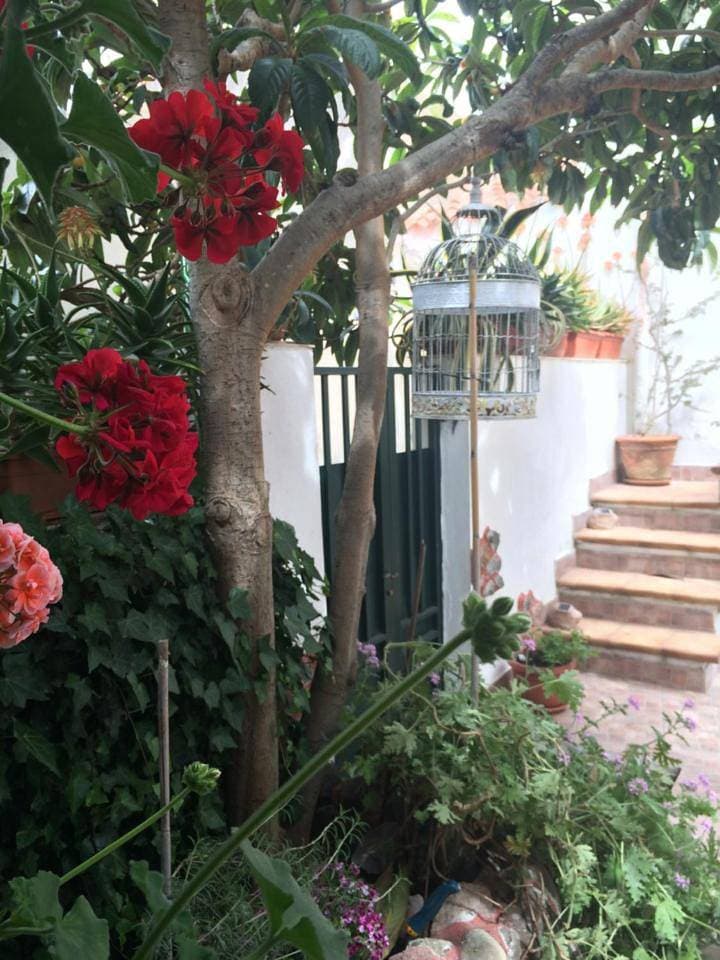 Foto 9 von 28: Holiday Home
