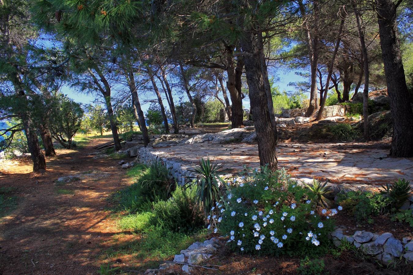 Foto 12 von 30: 1-Zimmer-Haus am Strand Bucht Grebisce, Hvar