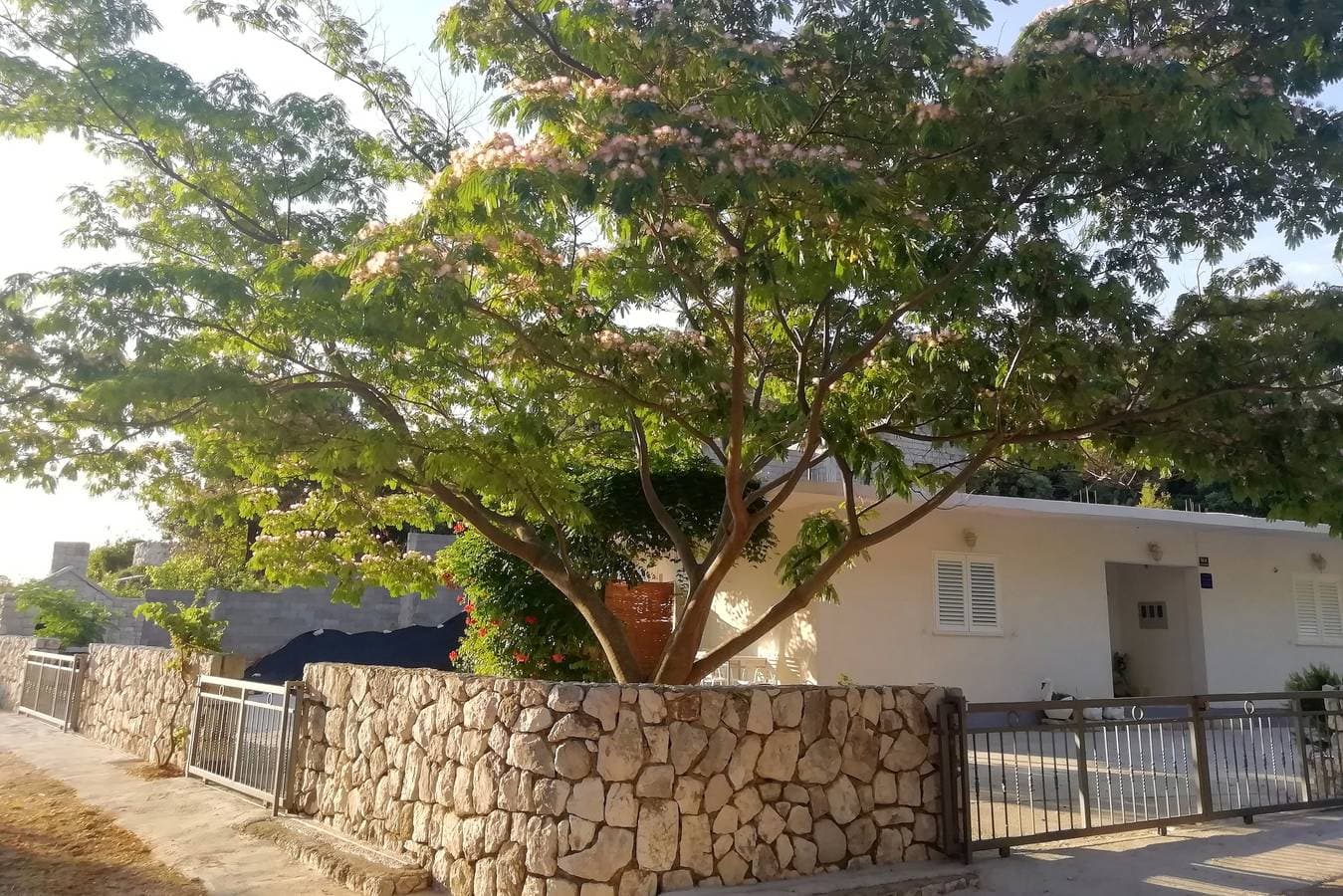 Foto 2 von 12: Studio Appartement mit Terrasse Bucht Saplunara, Mljet As-4896-a