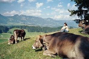 Foto 4 von 8: Himmelschrofen 1-Zi.