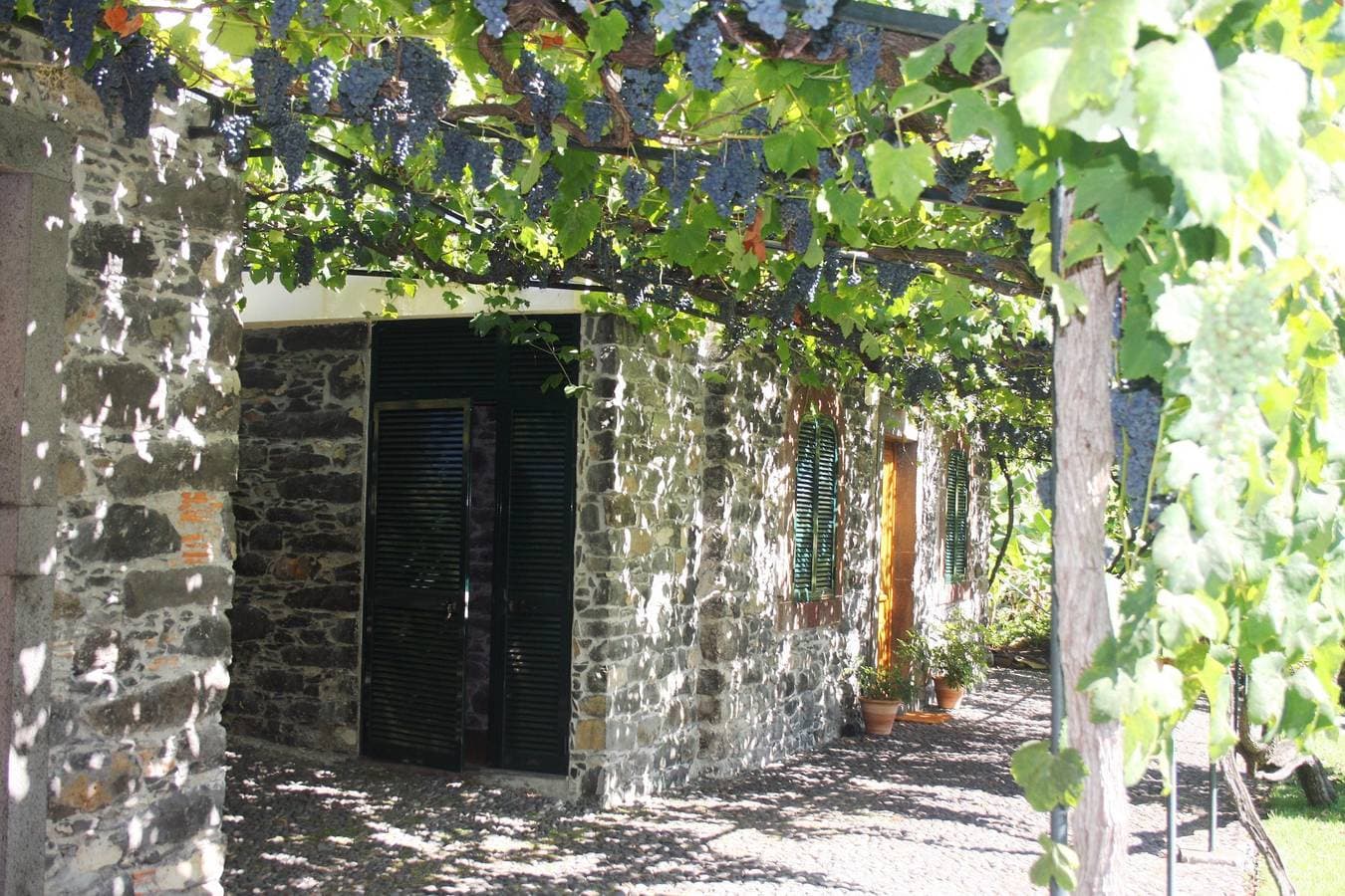 Foto 2 von 25: Charming stone cottage in Funchal | Loja Lenha